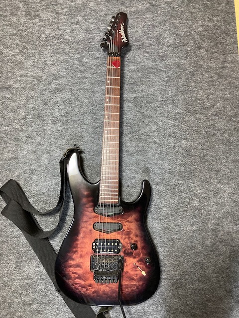 Washburn MG-130 Main