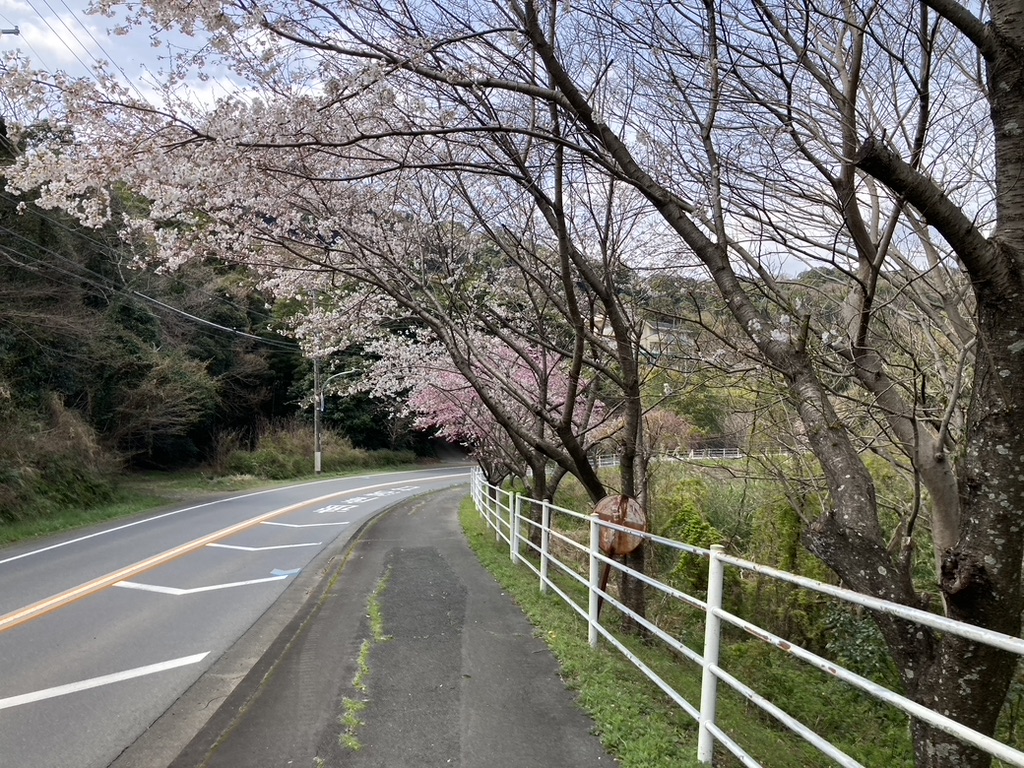 2B0042F5-B916-433F-BA4D-2785BDC5E1A6_1_105_c.jpeg